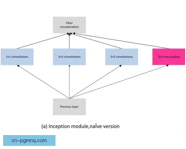 举重对战分析：夺冠策略与技巧深度解读