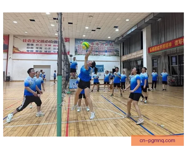 全球排球盛事：激情角逐、风采展现