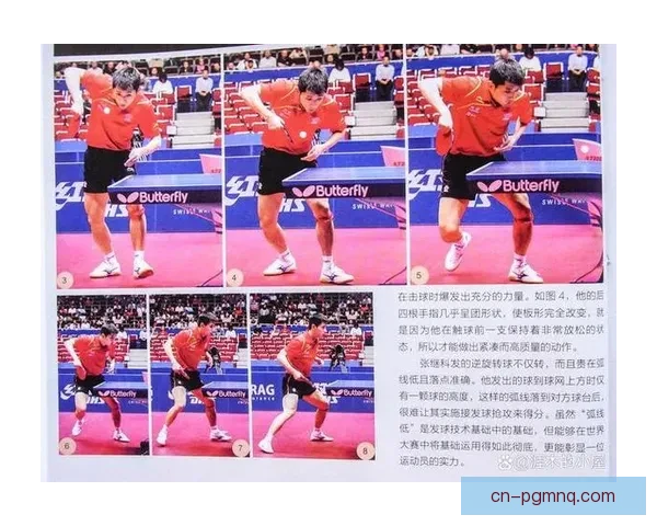全面解读乒乓球比赛的规则、技巧与战术