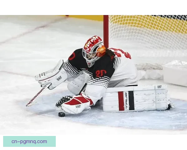 冰球赛事预测：精准分析助你玩转每场比赛