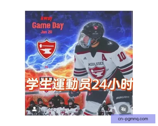 冰球冠军：辉煌背后的汗水与梦想