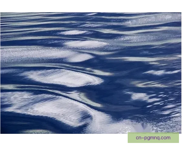 冲浪盘口分析：洞悉海浪脉动，把握风向浪势