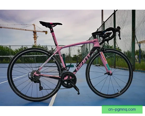 山地车冠军：勇者征程，风骑壮志。