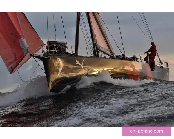 帆船赛风云：挑战极限，征服风浪