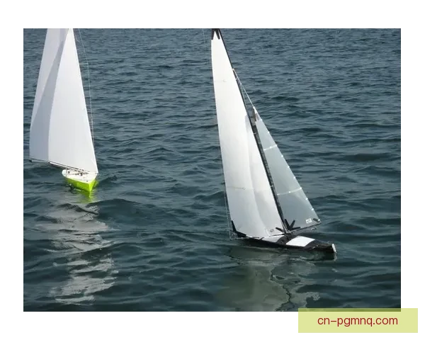 帆船投注技巧大揭秘，助您成为投注高手