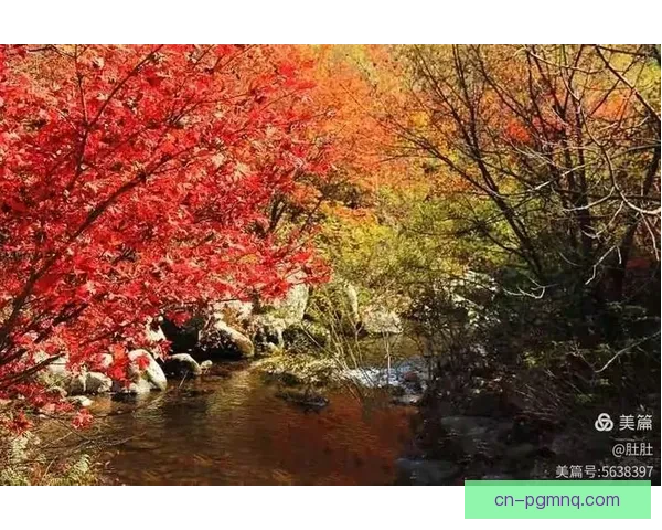 征战自然，畅享越野：探寻极限挑战的新境界