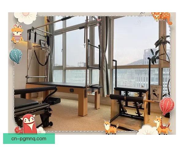 揭秘普拉提盘口分析的奥秘及技巧