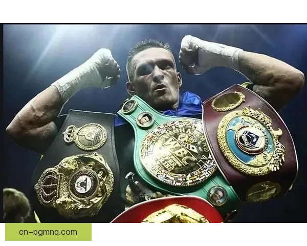 拳击赛事专家解读：世界拳坛巅峰之战，谁将问鼎拳王宝座？