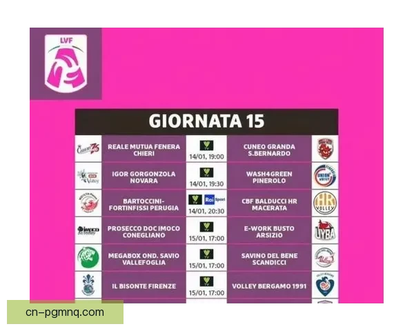 排球赛事积分榜大揭秘，球队实力一目了然