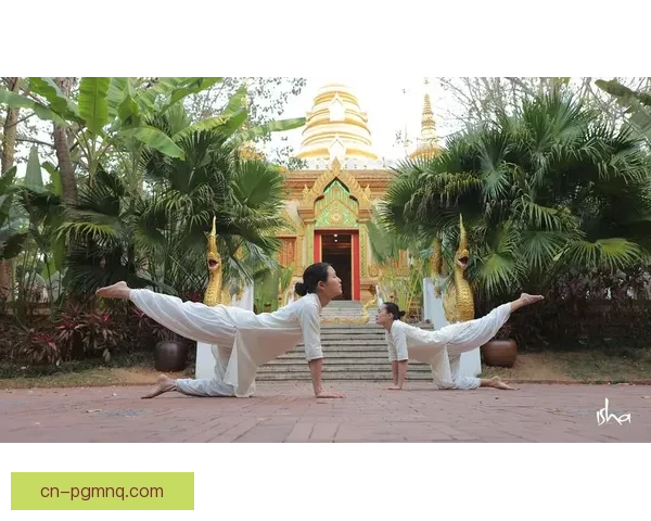 探索瑜伽之道：身心灵平衡的修行之路