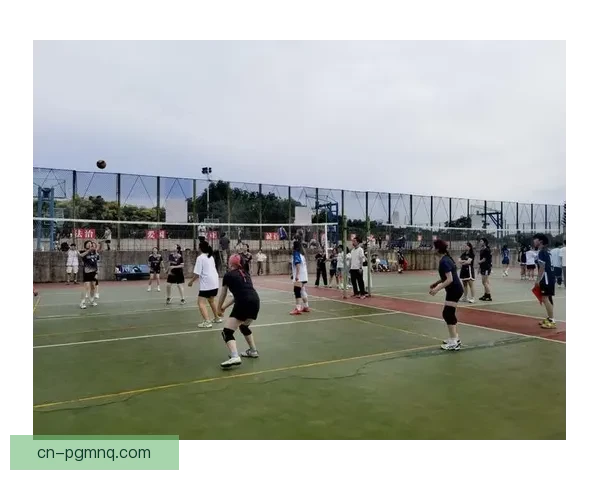 排球大奖赛：跃动瞬间，冠军梦想闪耀