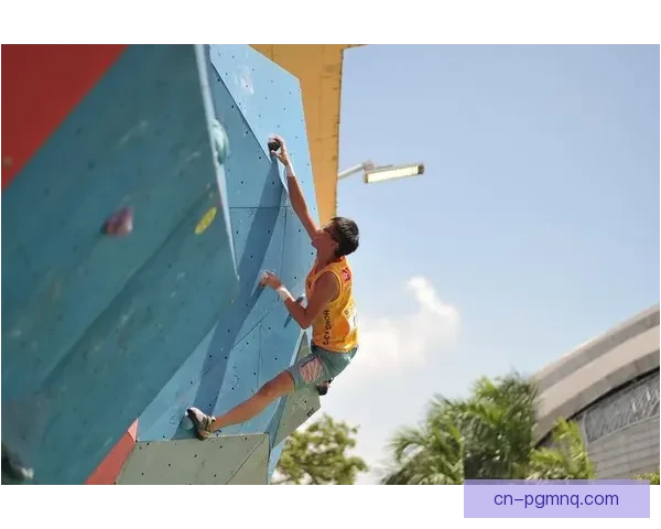 攀岩公开赛：挑战高峰，勇攀险阻