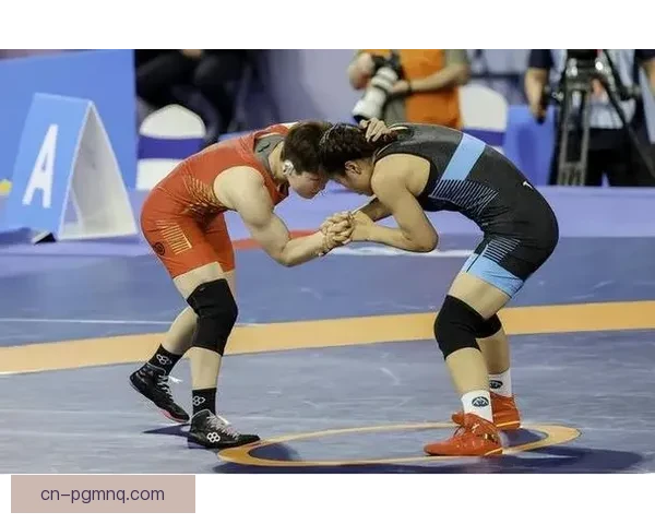 搏击风云：国际摔跤大赛的荣耀时刻