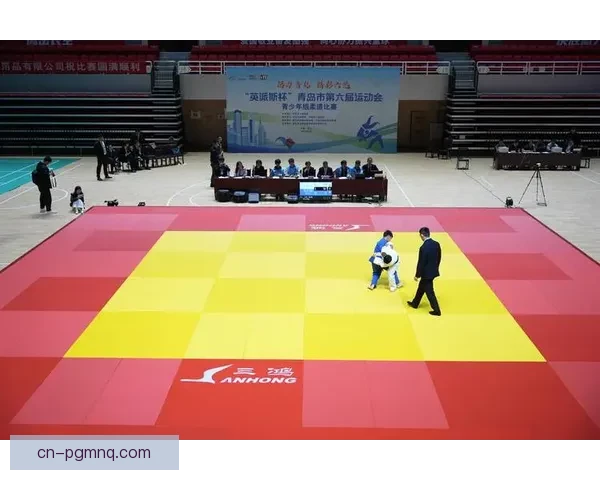 柔道对战策略解析及技术分析