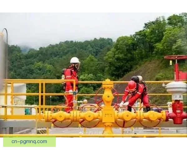 游泳训练新视角：提升技术水平，实现全面突破