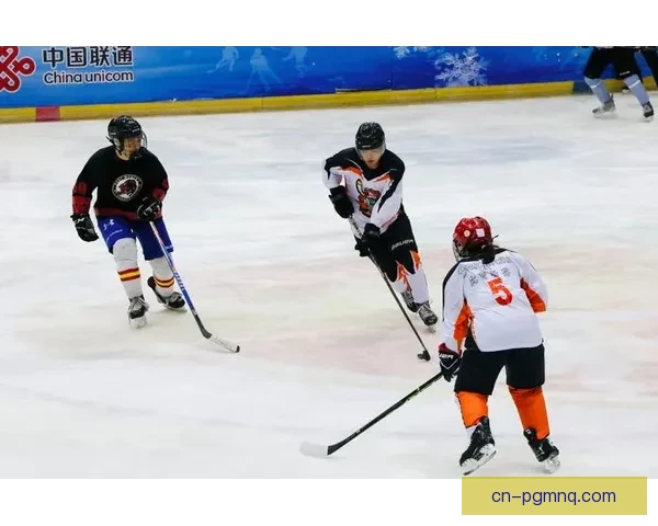 激情冰球大奖赛：冰场上的风暴飞翔