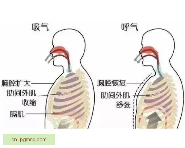 游泳入门：如何轻松掌握基本浮水姿势和呼吸技巧