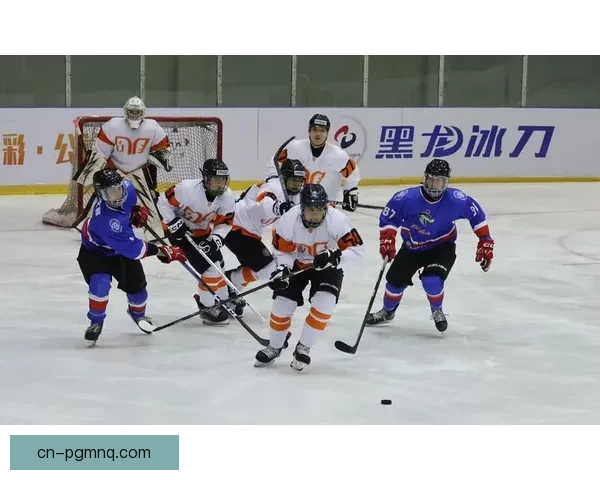 精彩冰球排名纵览：谁主宰赛场？