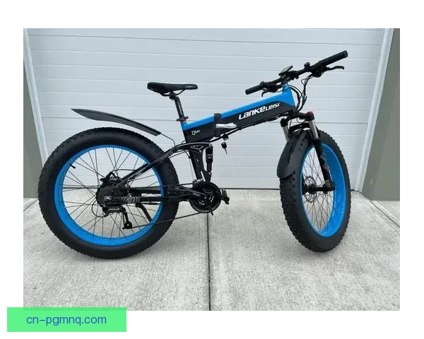 自行车历史演变：从脚踏车到电动车，两轮交通工具的漫漫进化之路