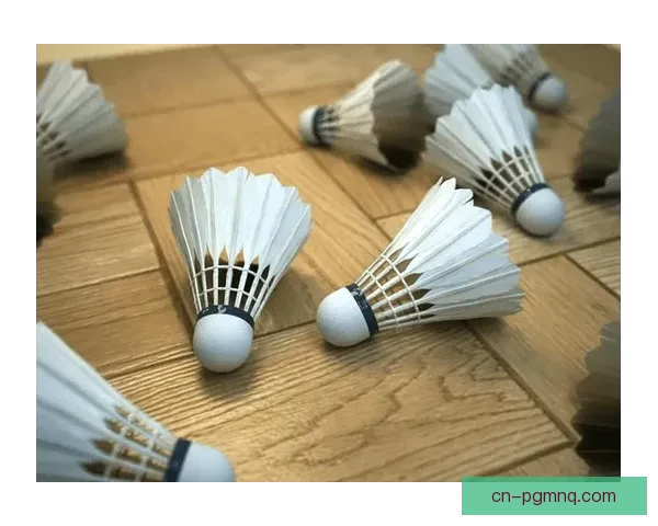 羽毛球投注技巧大揭秘，助你成为投注高手