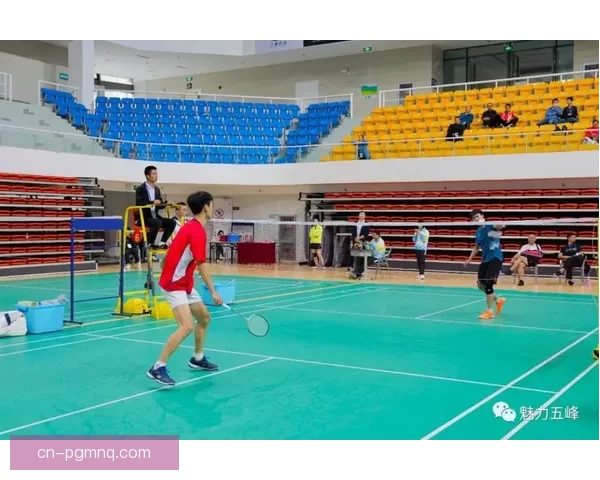 精彩纷呈的羽毛球直播盛宴