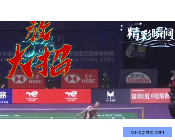羽毛球赛事精彩回顾，重温经典对决