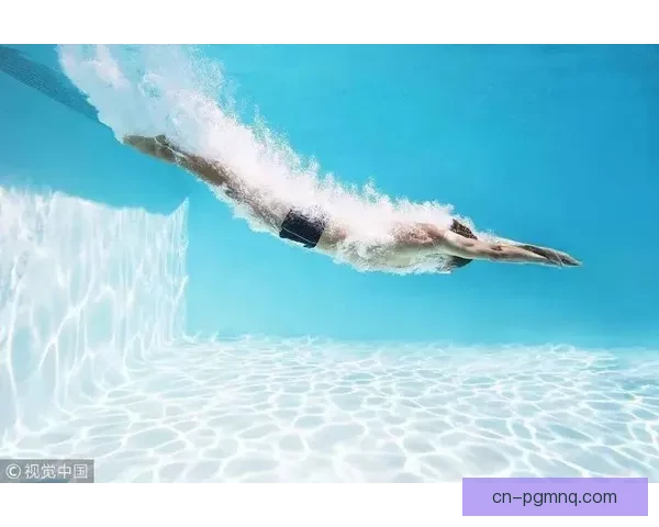 跳水规则解析与技术要点详解